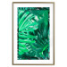 Wall Poster Jungle Depth - greenish composition of leaves from the tropical jungle 134505 additionalThumb 16