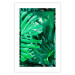 Wall Poster Jungle Depth - greenish composition of leaves from the tropical jungle 134505 additionalThumb 25