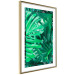 Wall Poster Jungle Depth - greenish composition of leaves from the tropical jungle 134505 additionalThumb 10