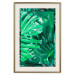Wall Poster Jungle Depth - greenish composition of leaves from the tropical jungle 134505 additionalThumb 20