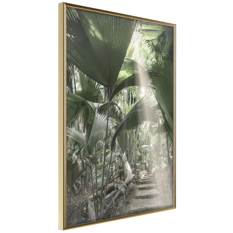 Wall Poster Beam of Light - tropical composition of green jungle in sunlight 135305 additionalImage 21
