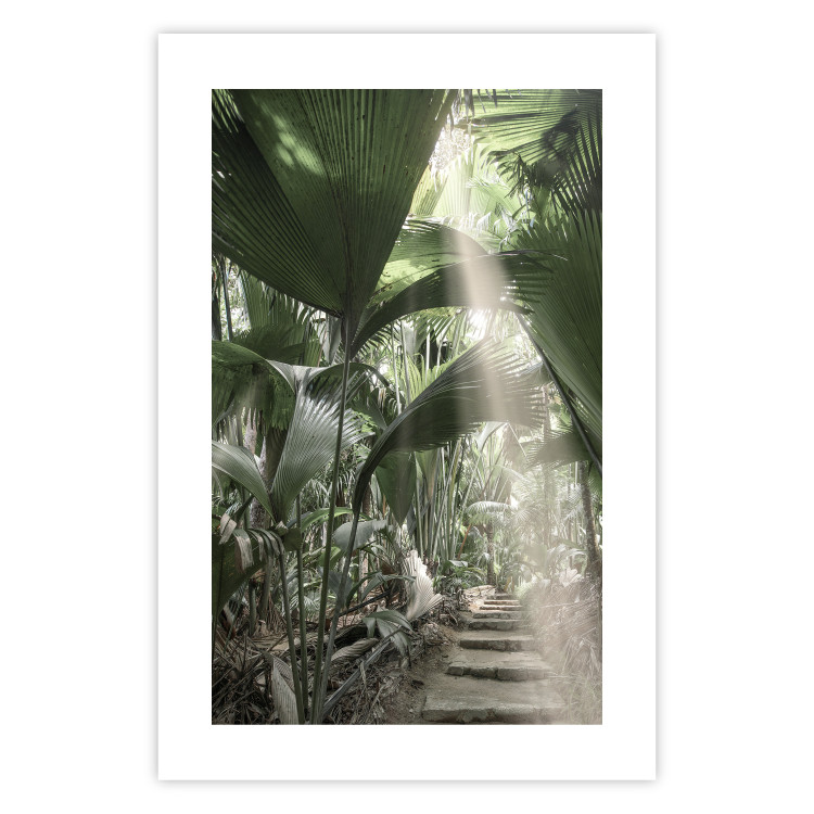 Wall Poster Beam of Light - tropical composition of green jungle in sunlight 135305 additionalImage 5