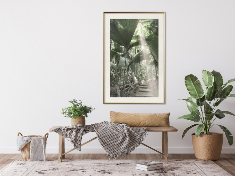Wall Poster Beam of Light - tropical composition of green jungle in sunlight 135305 additionalImage 10