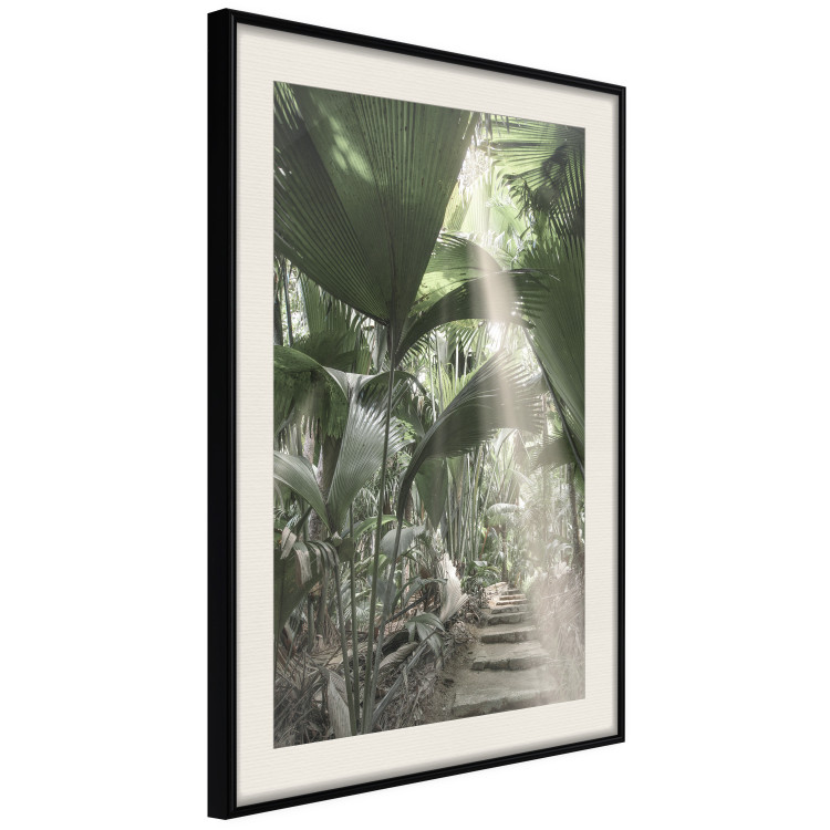Wall Poster Beam of Light - tropical composition of green jungle in sunlight 135305 additionalImage 17