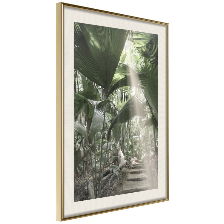 Wall Poster Beam of Light - tropical composition of green jungle in sunlight 135305 additionalImage 19