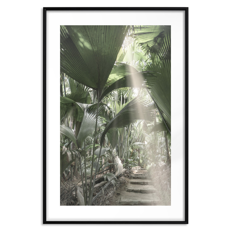 Wall Poster Beam of Light - tropical composition of green jungle in sunlight 135305 additionalImage 3