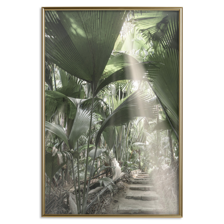 Wall Poster Beam of Light - tropical composition of green jungle in sunlight 135305 additionalImage 4