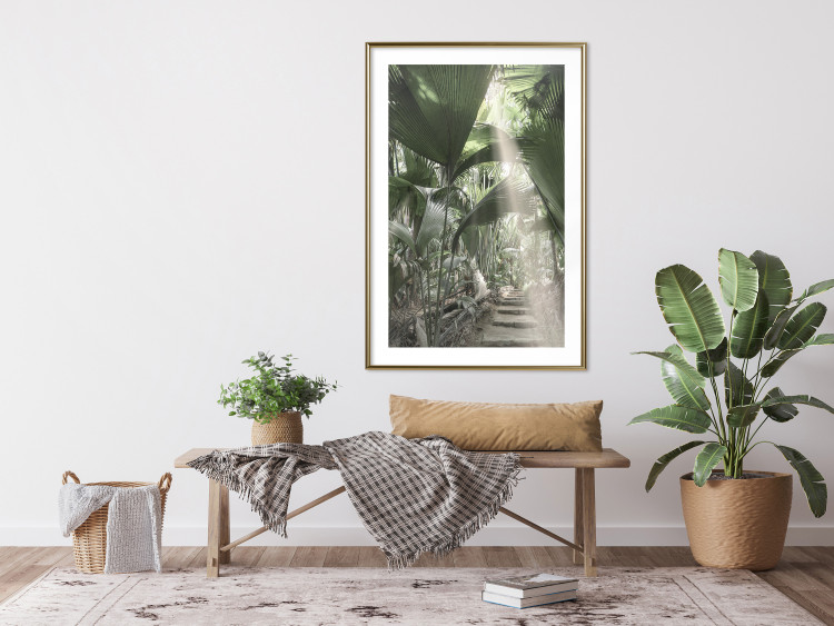 Wall Poster Beam of Light - tropical composition of green jungle in sunlight 135305 additionalImage 8