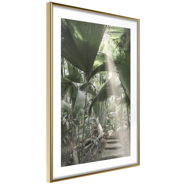 Wall Poster Beam of Light - tropical composition of green jungle in sunlight 135305 additionalImage 18