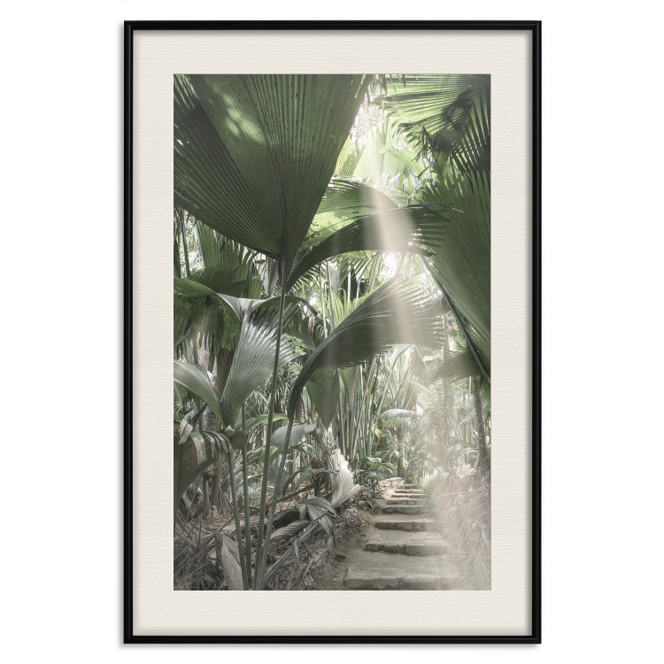 Wall Poster Beam of Light - tropical composition of green jungle in sunlight 135305 additionalImage 27
