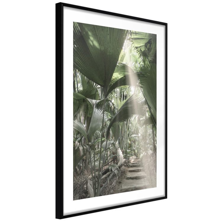 Wall Poster Beam of Light - tropical composition of green jungle in sunlight 135305 additionalImage 15