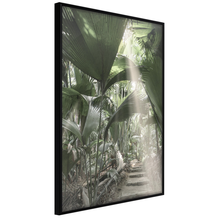 Wall Poster Beam of Light - tropical composition of green jungle in sunlight 135305 additionalImage 22