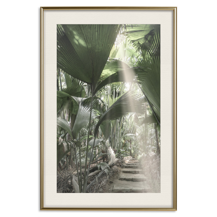 Wall Poster Beam of Light - tropical composition of green jungle in sunlight 135305 additionalImage 26