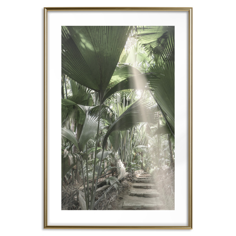 Wall Poster Beam of Light - tropical composition of green jungle in sunlight 135305 additionalImage 2