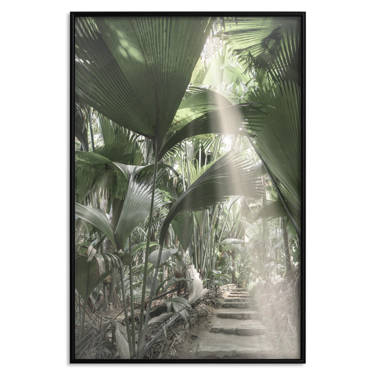Wall Poster Beam of Light - tropical composition of green jungle in sunlight 135305 additionalImage 6
