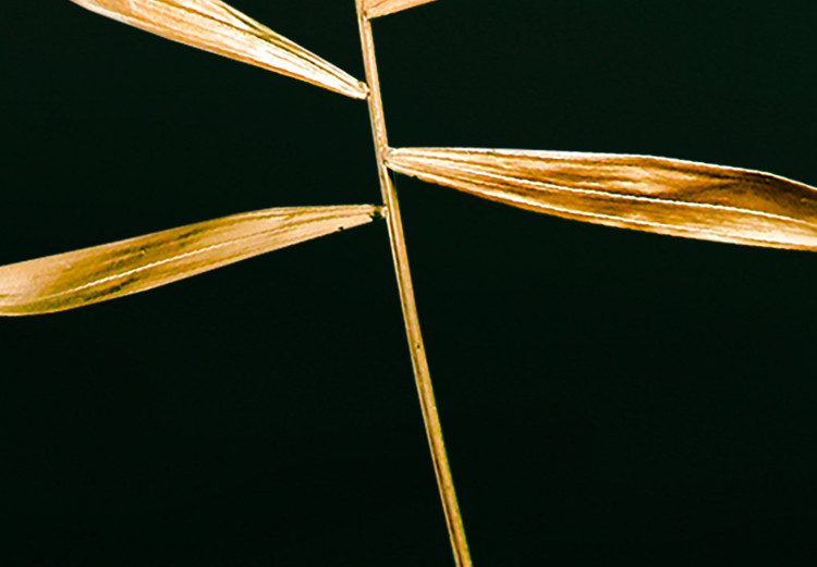 Poster Graceful Leaf - golden plant composition on a dark green background 135605 additionalImage 9