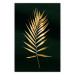 Poster Graceful Leaf - golden plant composition on a dark green background 135605
