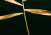 Poster Graceful Leaf - golden plant composition on a dark green background 135605 additionalThumb 9