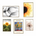 Posters collage Wonderful Sunflowers 135805 additionalThumb 1