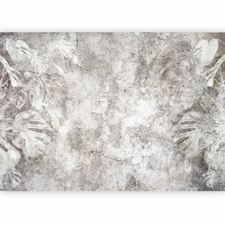Photo Wallpaper Decorative Wall - Monstera Leaves on the Background of an Old Wall 145305 additionalImage 5