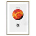 Wall Poster Venus  - The Brightest Planet in the Solar System II 149105 additionalThumb 19