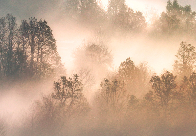 Canvas Forest in the Fog - Mountainous Landscape With Trees at Sunrise 149805 additionalImage 4
