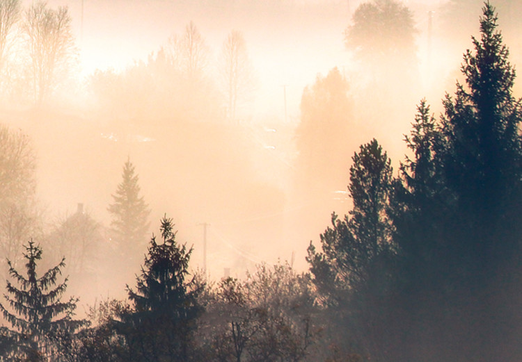 Canvas Forest in the Fog - Mountainous Landscape With Trees at Sunrise 149805 additionalImage 5
