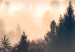 Canvas Forest in the Fog - Mountainous Landscape With Trees at Sunrise 149805 additionalThumb 5