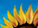 Canvas Print Sunflowers 48605 additionalThumb 4