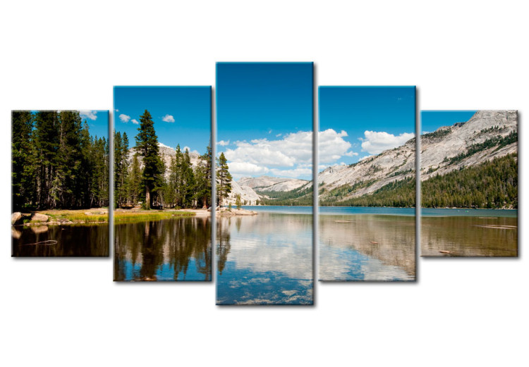 Canvas Print A mountain lake in early summer 58505