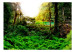 Photo Wallpaper In the Tropics - Landscape with Tropical Jungle Surrounding a Turquoise Lake 60505 additionalThumb 1