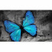 Wall Mural Beauty of the Butterfly - Blue butterfly on a graphite background with newspaper motif 61305 additionalThumb 5