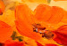 Canvas Print Land of Poppies 88705 additionalThumb 4