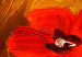 Canvas Print Land of Poppies 88705 additionalThumb 5