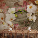 Photo Wallpaper Desert orchid - flower motif on a background with delicate wave effect 88905 additionalThumb 4
