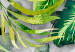 Wall Poster Wild Thing - botanical composition with tropical leaves and text 114315 additionalThumb 8