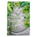 Wall Poster Wild Thing - botanical composition with tropical leaves and text 114315