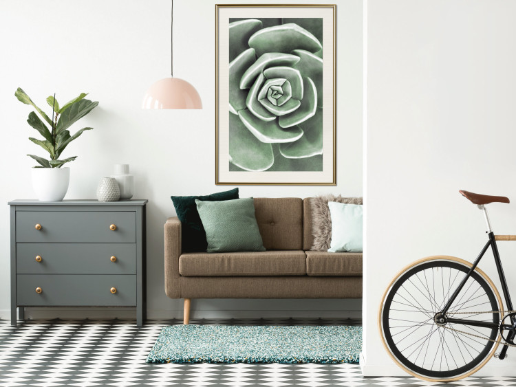 Wall Poster Beautiful Succulent - Scandinavian plant composition with green leaves 117115 additionalImage 22