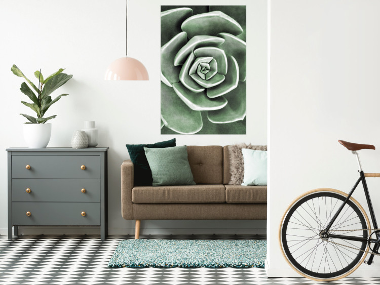 Wall Poster Beautiful Succulent - Scandinavian plant composition with green leaves 117115 additionalImage 4