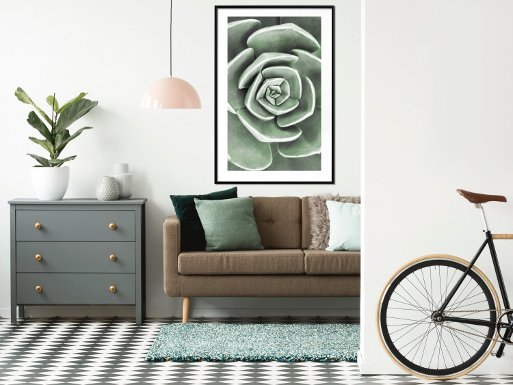 Wall Poster Beautiful Succulent - Scandinavian plant composition with green leaves 117115 additionalImage 16