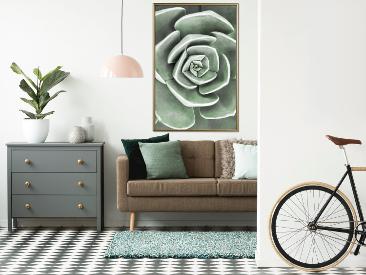 Wall Poster Beautiful Succulent - Scandinavian plant composition with green leaves 117115 additionalImage 7