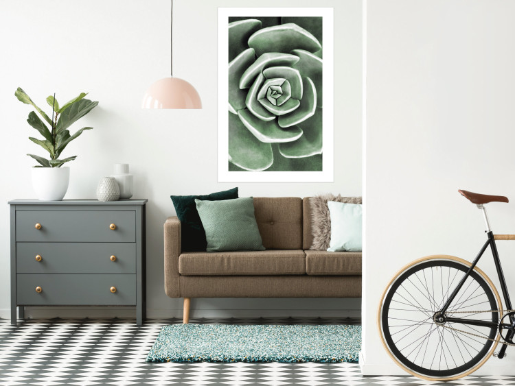 Wall Poster Beautiful Succulent - Scandinavian plant composition with green leaves 117115 additionalImage 5