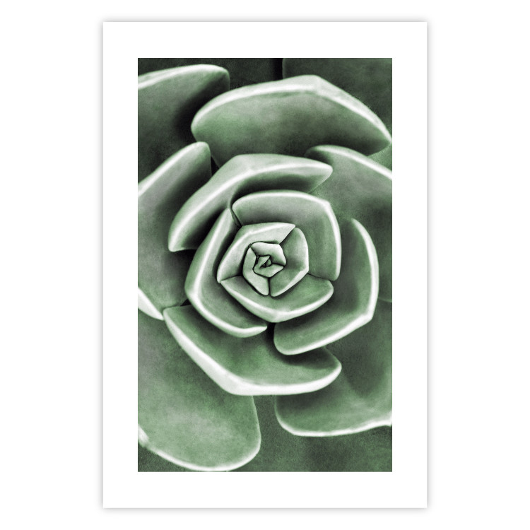 Wall Poster Beautiful Succulent - Scandinavian plant composition with green leaves 117115 additionalImage 26