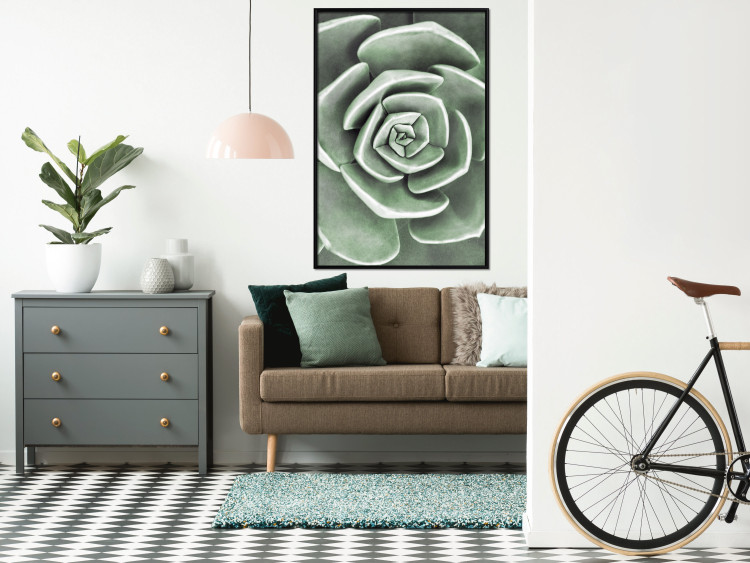 Wall Poster Beautiful Succulent - Scandinavian plant composition with green leaves 117115 additionalImage 4