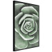 Wall Poster Beautiful Succulent - Scandinavian plant composition with green leaves 117115 additionalThumb 11