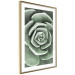 Wall Poster Beautiful Succulent - Scandinavian plant composition with green leaves 117115 additionalThumb 9
