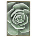 Wall Poster Beautiful Succulent - Scandinavian plant composition with green leaves 117115 additionalThumb 25