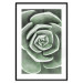 Wall Poster Beautiful Succulent - Scandinavian plant composition with green leaves 117115 additionalThumb 17
