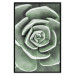 Wall Poster Beautiful Succulent - Scandinavian plant composition with green leaves 117115 additionalThumb 27