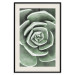 Wall Poster Beautiful Succulent - Scandinavian plant composition with green leaves 117115 additionalThumb 19
